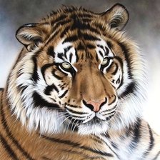 Схема вышивки «тигр»