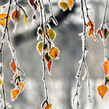 Схема вышивки «№2071158»