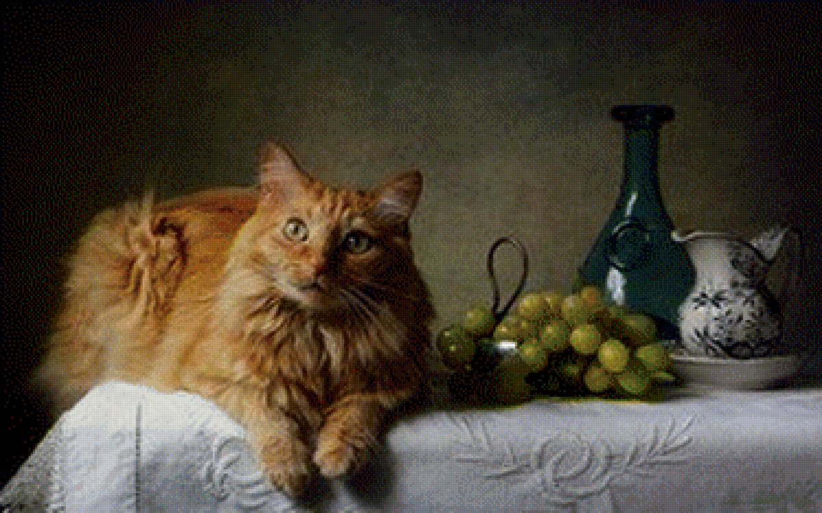 Натюрморт с рыжим котом - кот, виноград, натюрморт, фрукты, рыжий - предпросмотр