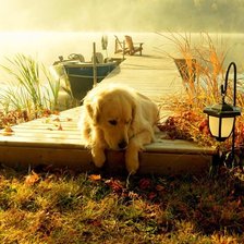 Схема вышивки «в ярких лучах осени»