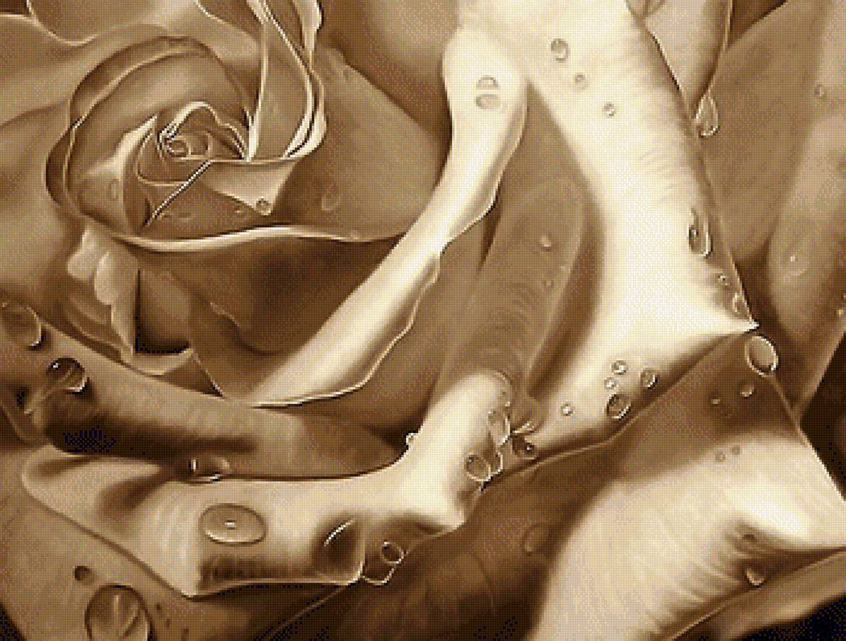 роза - предпросмотр