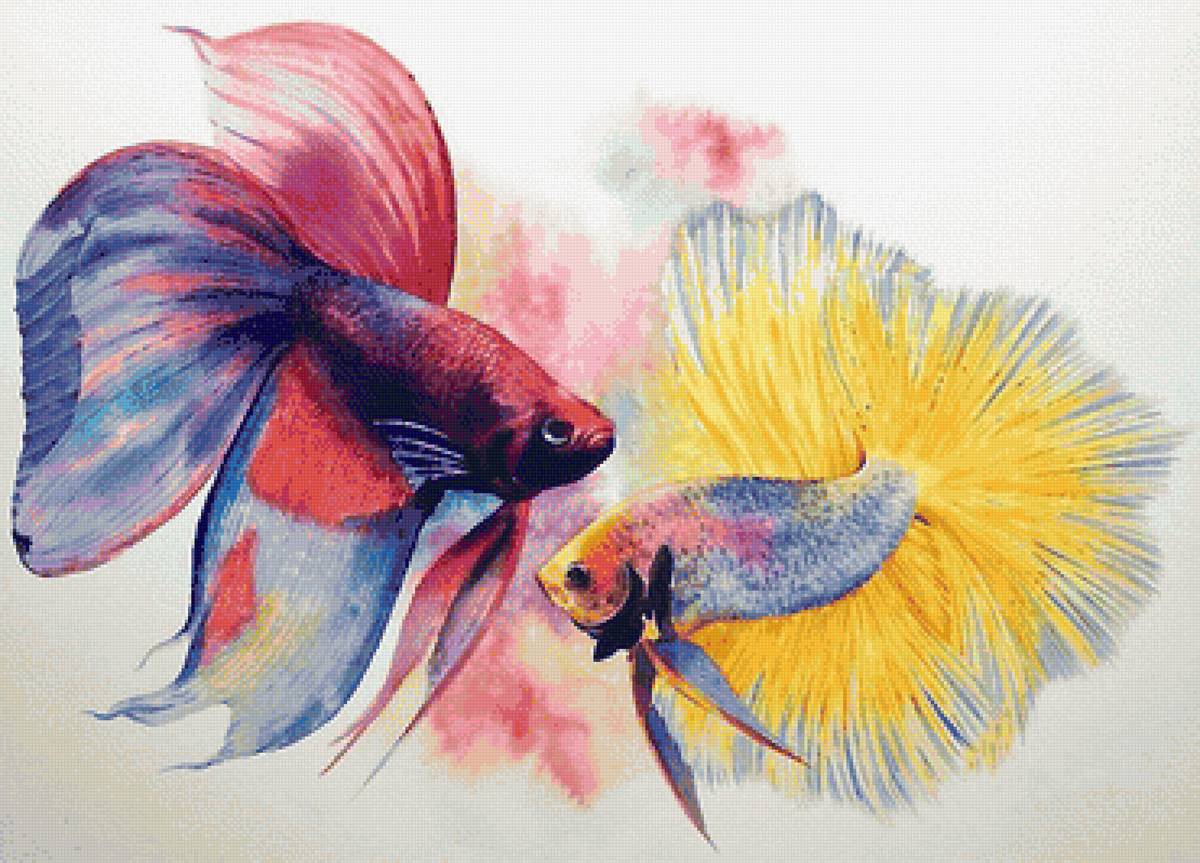 рыбки - предпросмотр