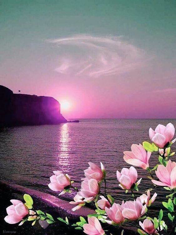 природа - солнце, цветы, магнолия, море - оригинал