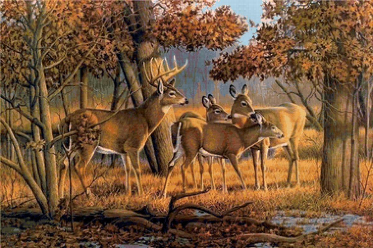 Олени - олени, природа, лес - предпросмотр