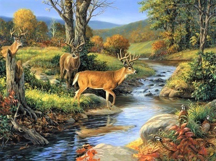 Олени у реки - лес, олени, природа, река - оригинал