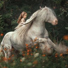 Схема вышивки «Всадница»