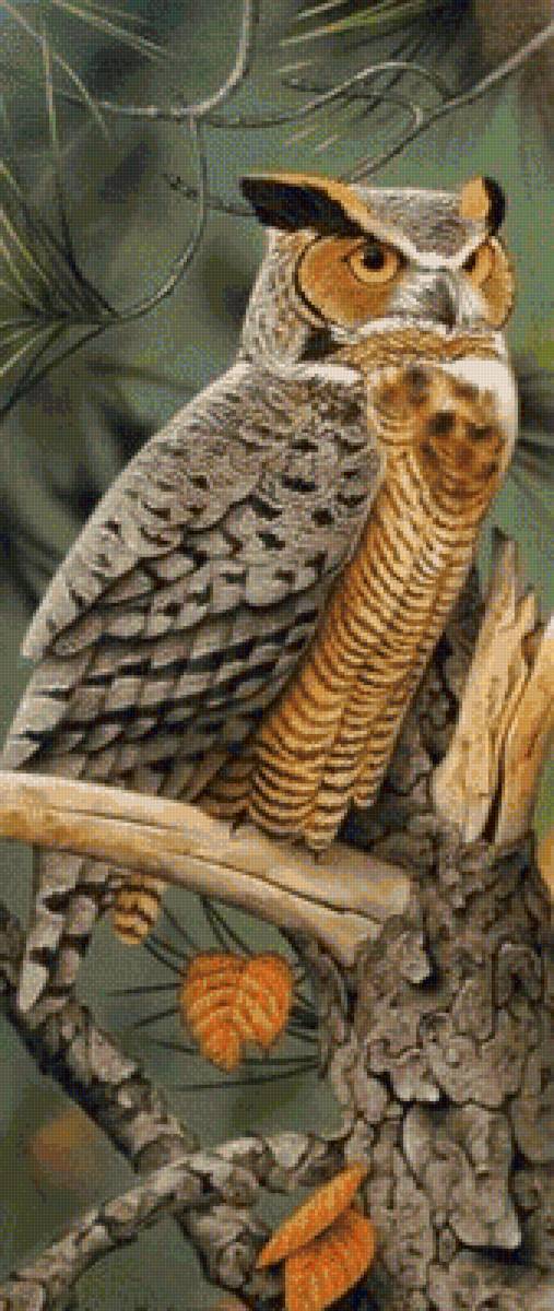 птицы - предпросмотр