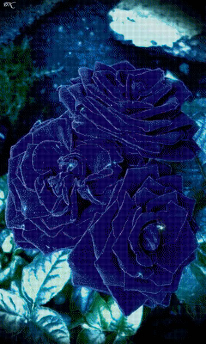 №2072880 - предпросмотр