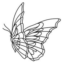 Оригинал схемы вышивки «бабочка» (№2073163)