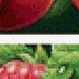Предпросмотр схемы вышивки «Ягоды-фрукты» (№2073347)