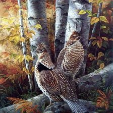 Схема вышивки «птицы»