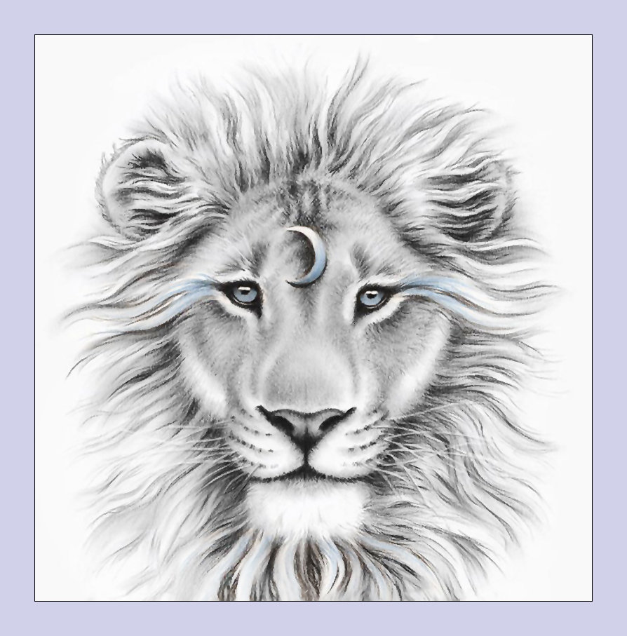 №2074117 - хищники, львы, животные - оригинал