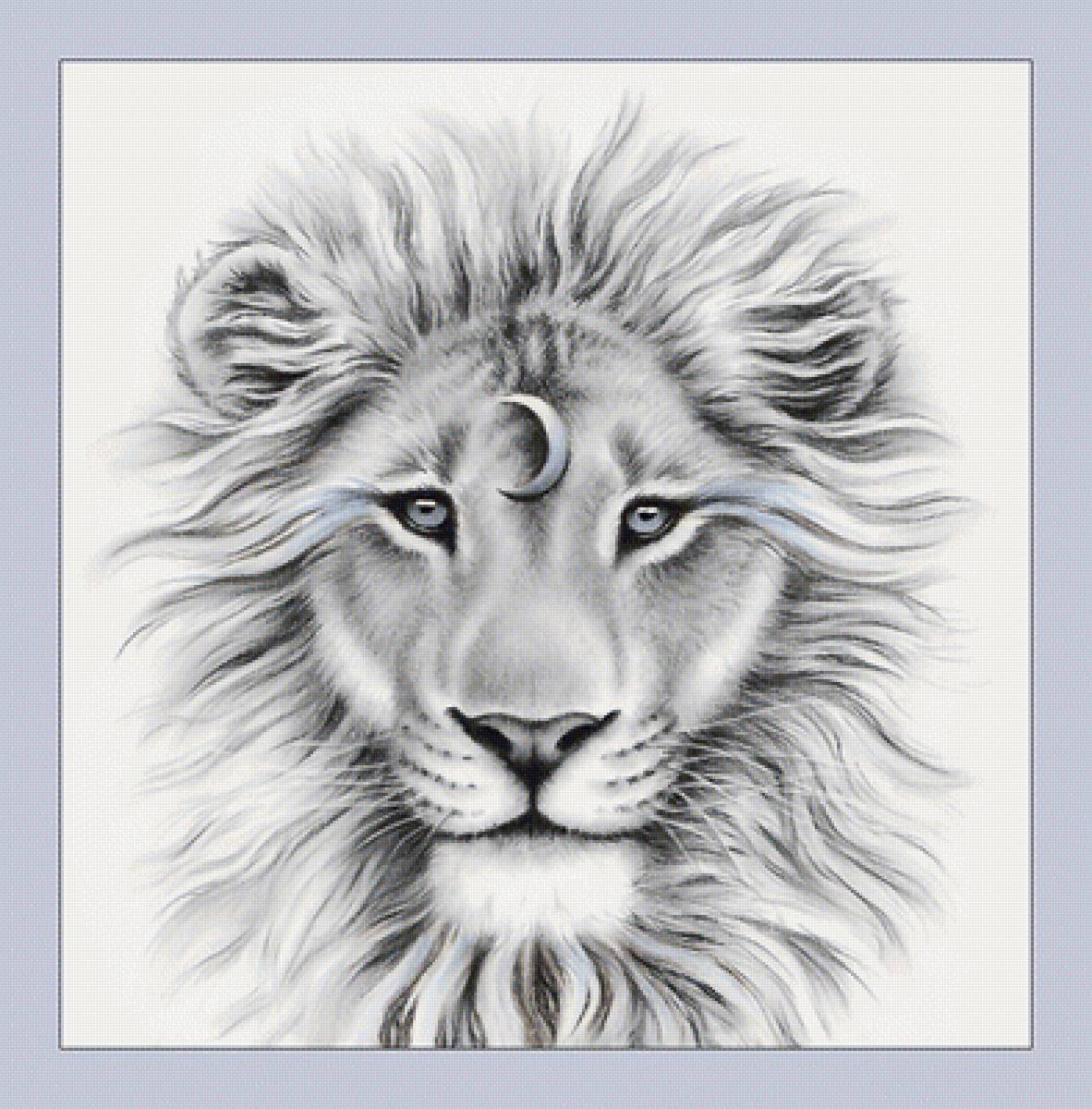 №2074117 - животные, львы, хищники - предпросмотр