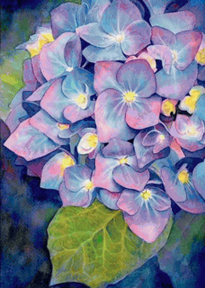 гортензия - цветы, гортензия - предпросмотр