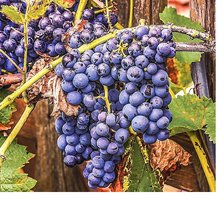 Схема вышивки «№2074619»