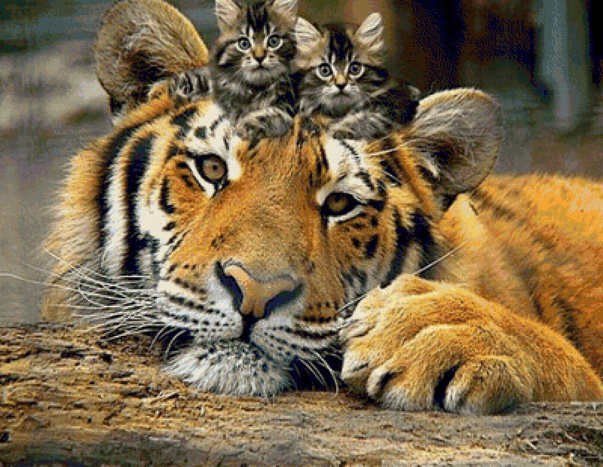 жывотные - тигр - предпросмотр