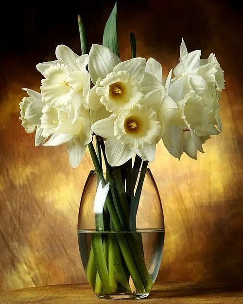 цветы - оригинал