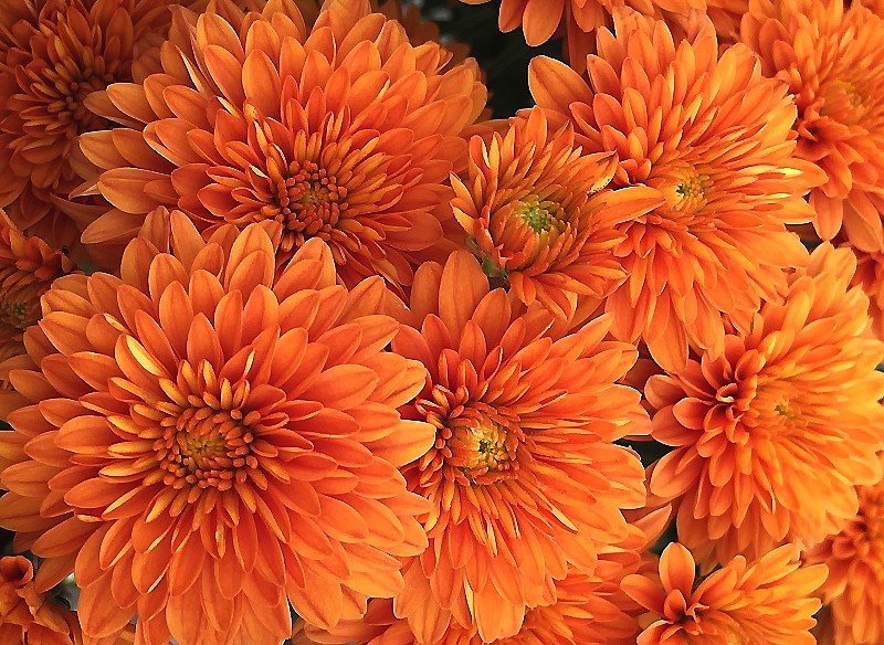 №2075222 - оригинал