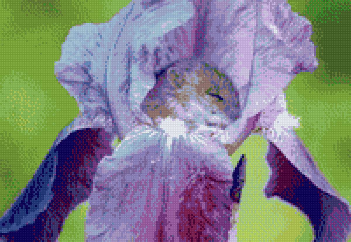 СОНЮШКА - мышь спящая в цветке - предпросмотр