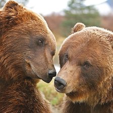 Схема вышивки «№2075474»