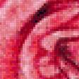 Предпросмотр схемы вышивки «роза» (№2075573)