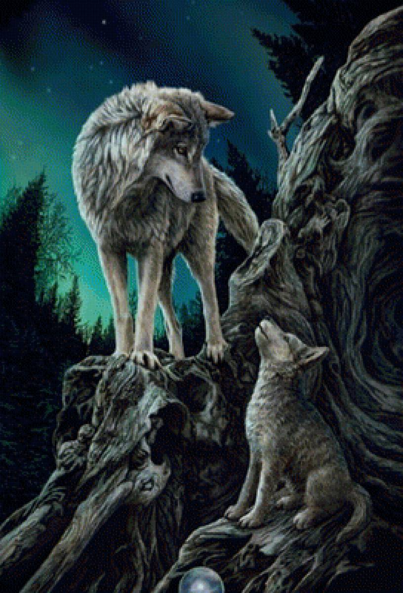 волки - волчонок, волк - предпросмотр