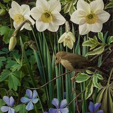 Схема вышивки «цветы»