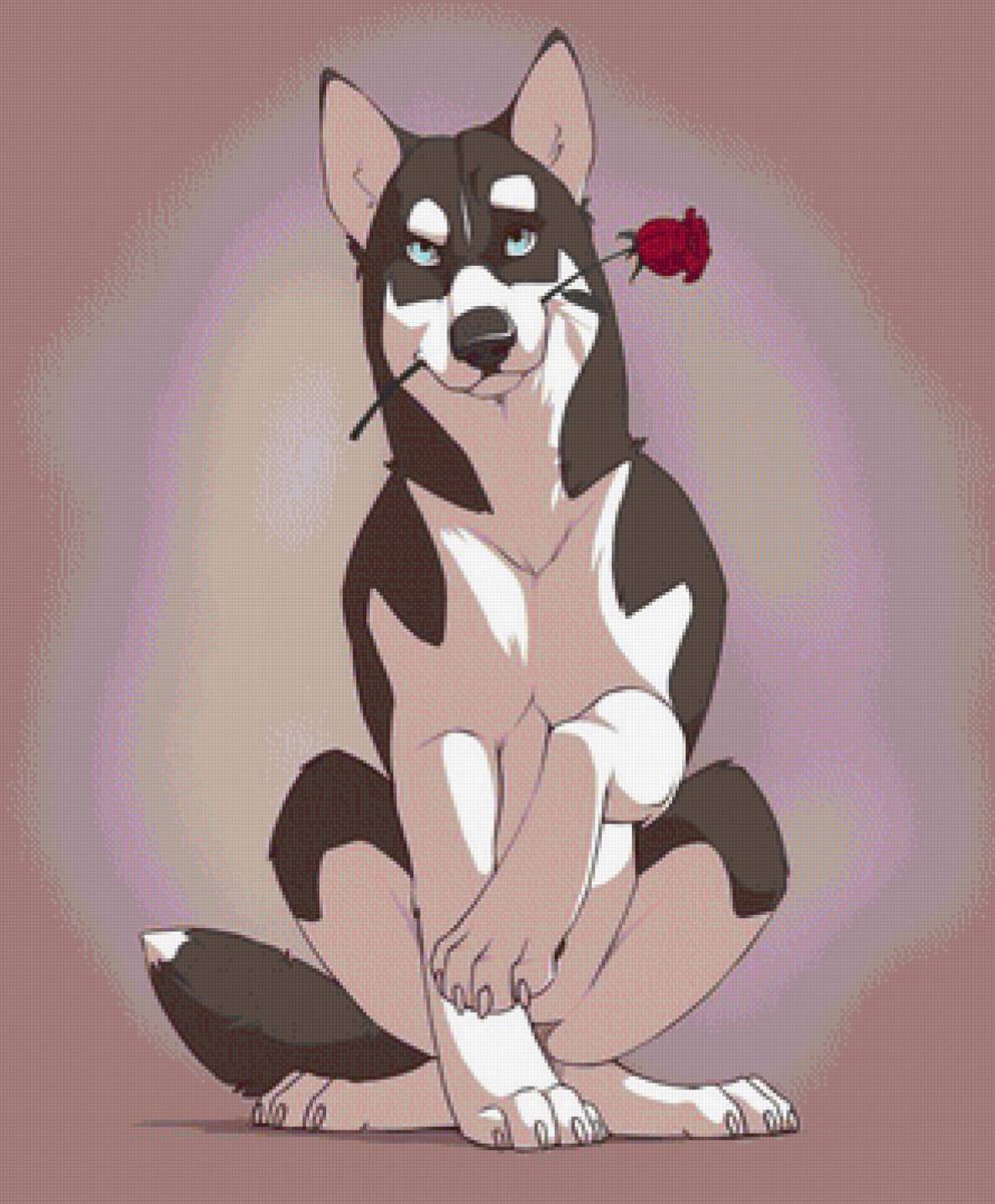 хаски - предпросмотр