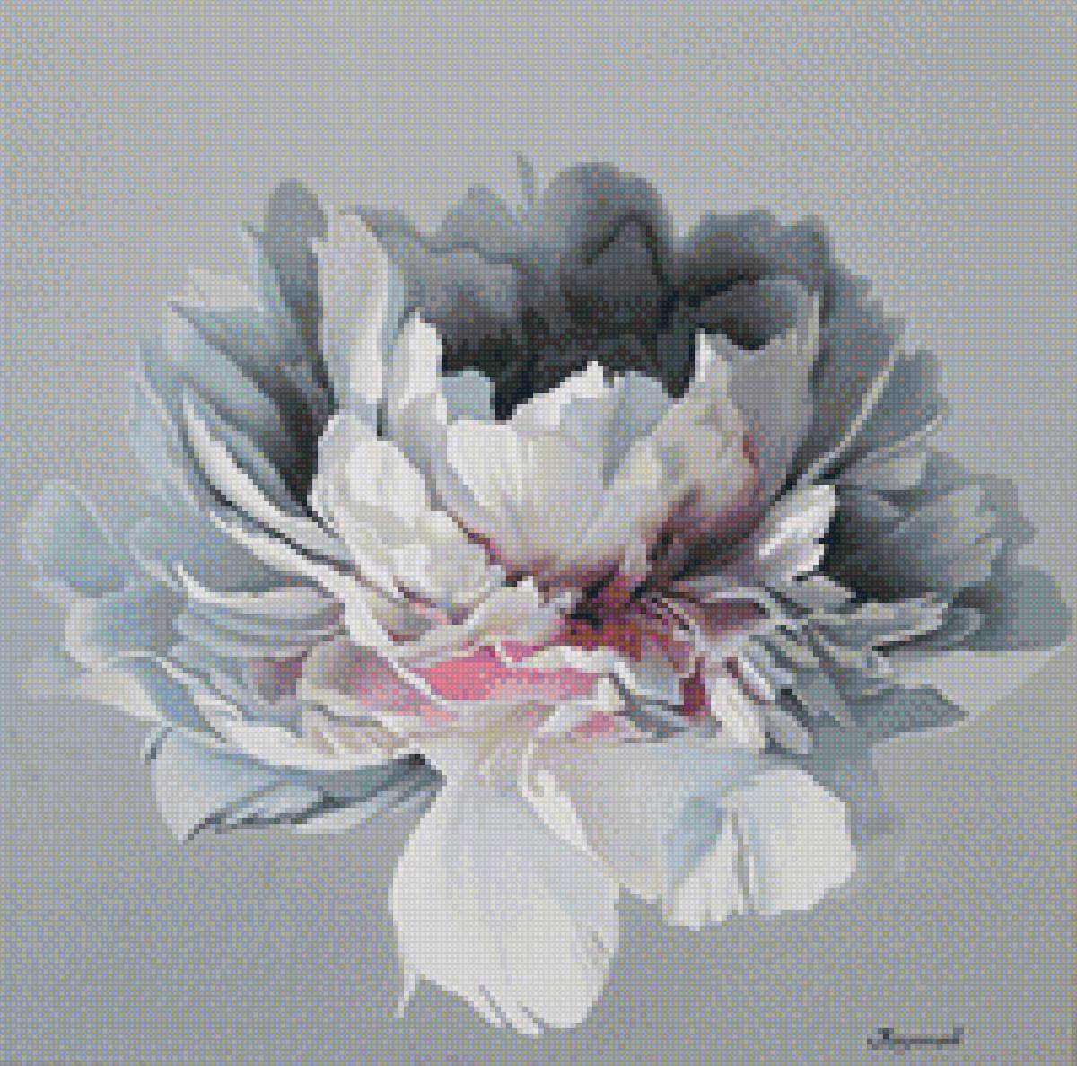 Пион - пион, скандинавский стиль - предпросмотр