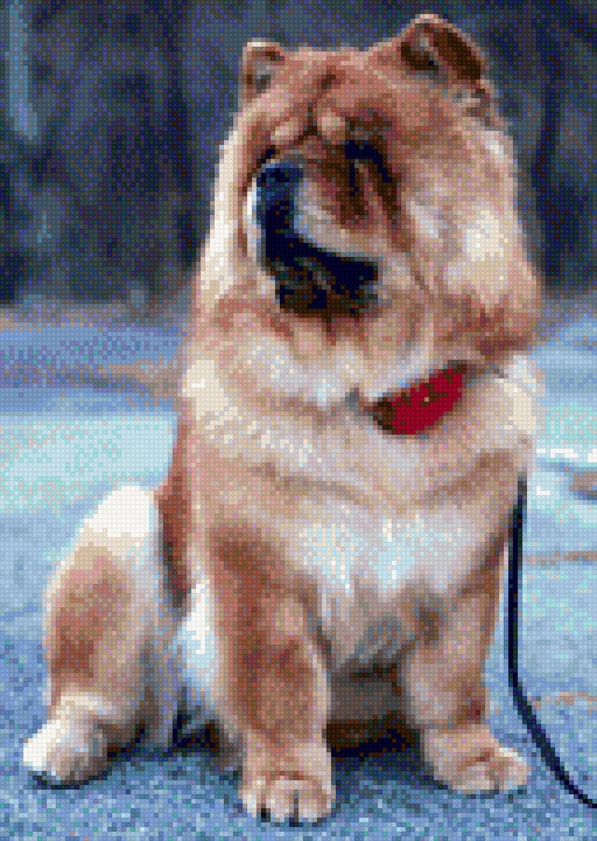 Чау - предпросмотр