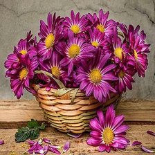 Схема вышивки «№2076359»