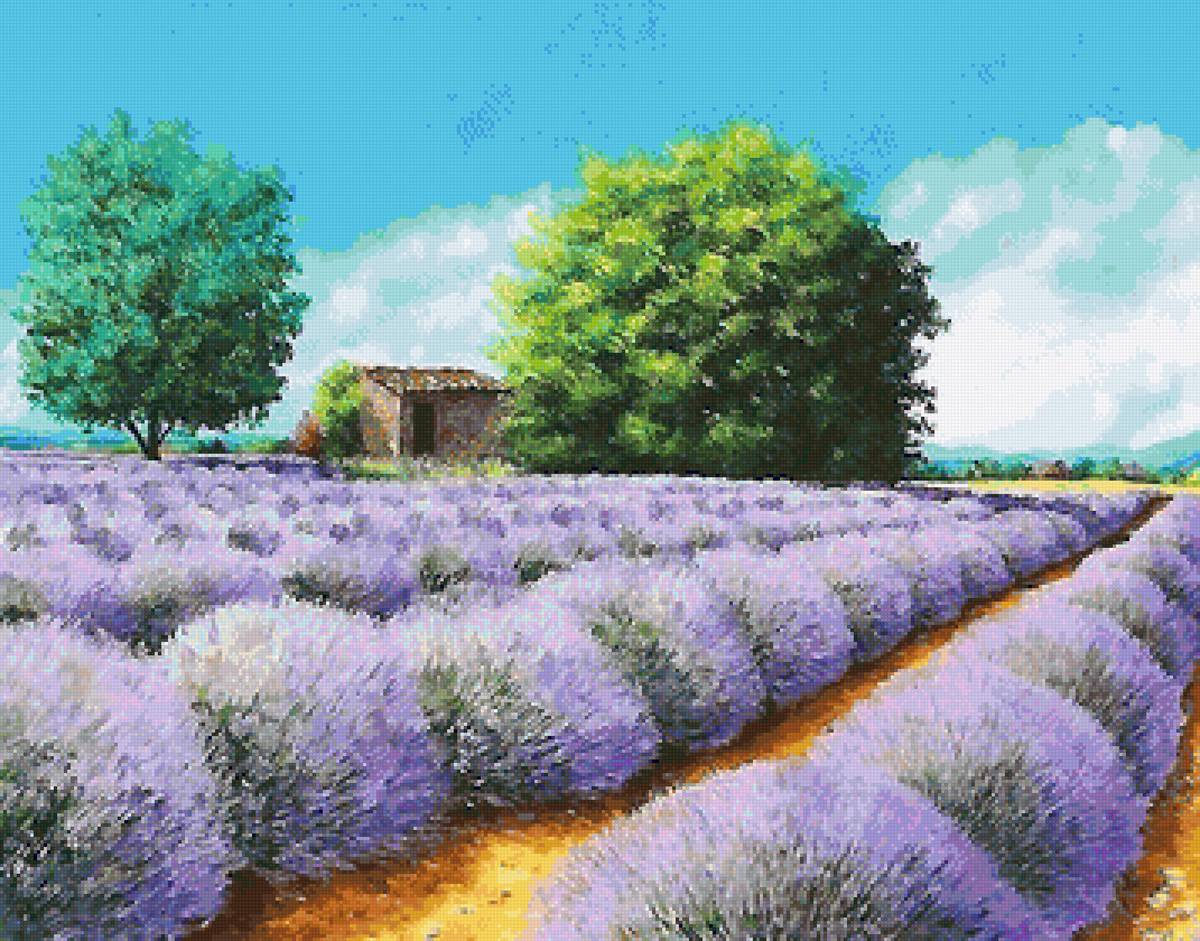 №2076800 - предпросмотр