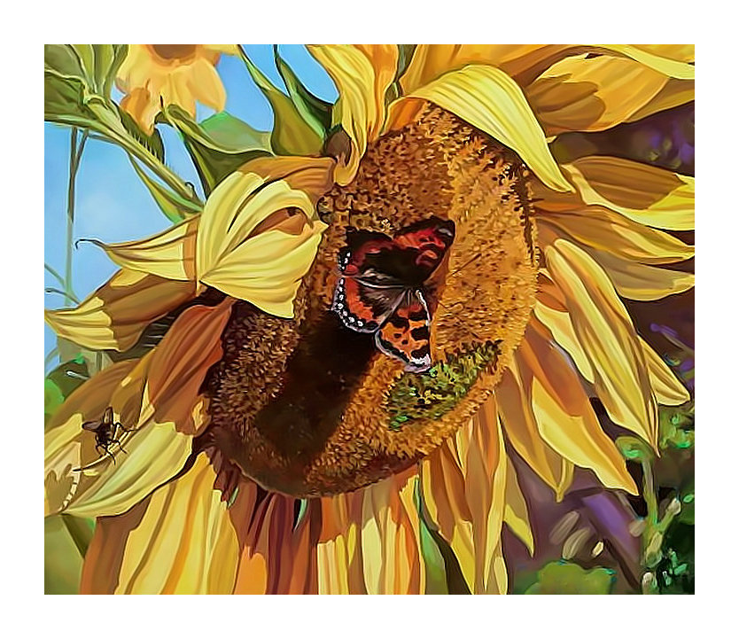 Подсолнух и бабочка. - бабочка, живопись, цветы, подсолнухи - оригинал