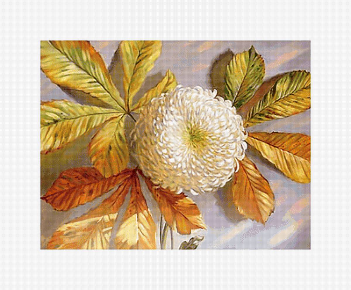 Хризантема. - листья, живопись, осень, цветок - предпросмотр