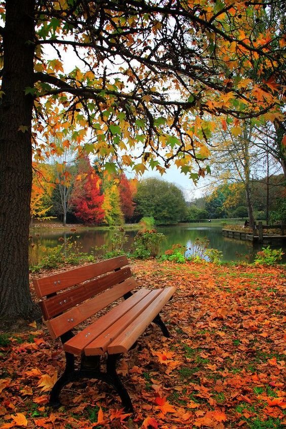 №2077626 - осень - оригинал