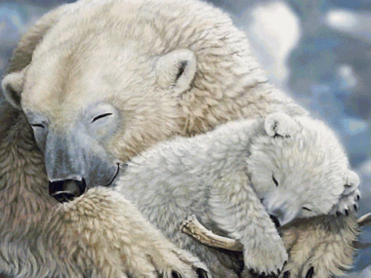 белые медведи - мир животных - предпросмотр