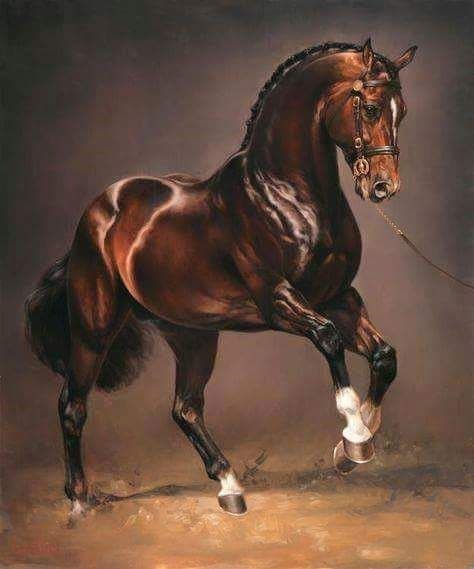 Лошадь - лошадь - оригинал