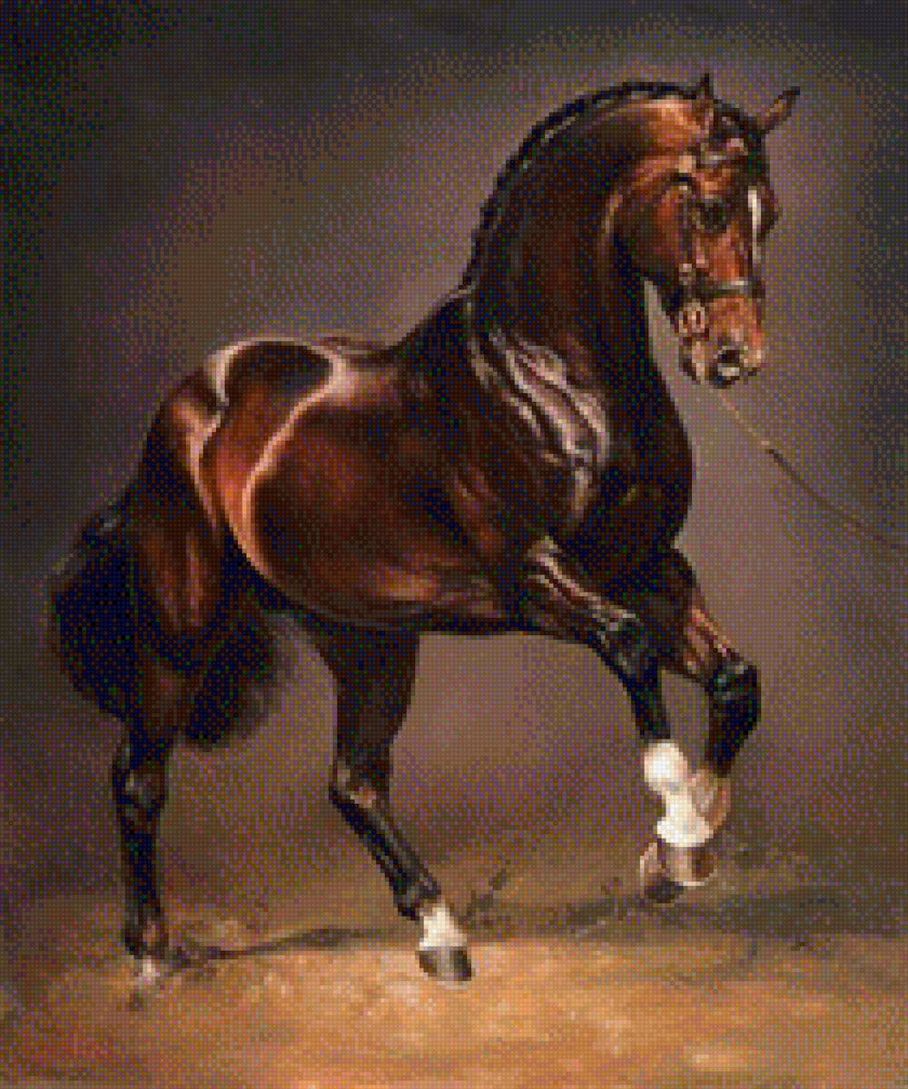 Лошадь - лошадь - предпросмотр