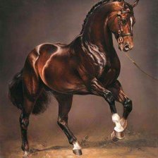 Схема вышивки «Лошадь»