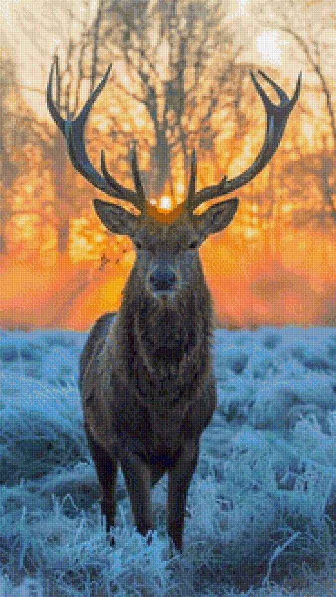 Олень - олень, зима - предпросмотр