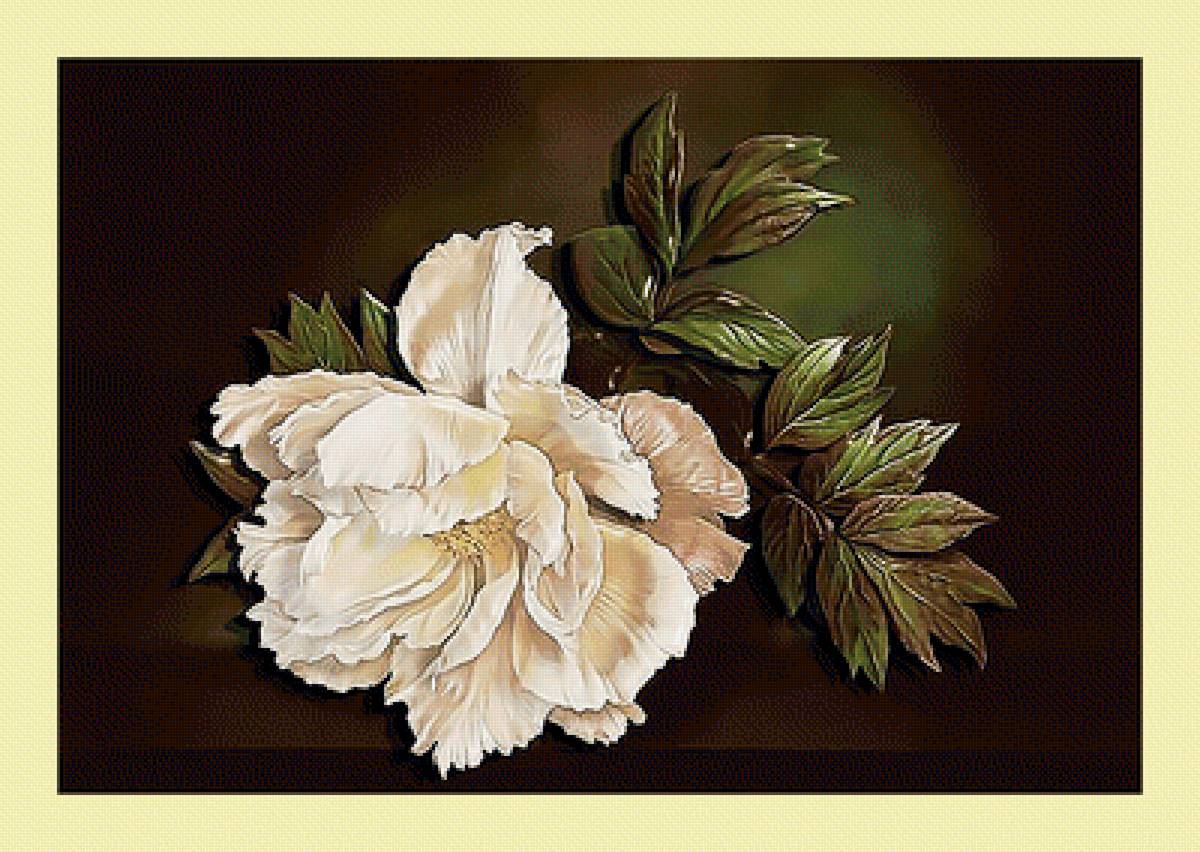 Пион. - пион, живопись, цветок - предпросмотр