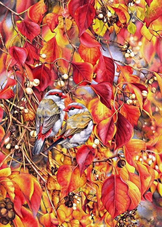 птицы - оригинал