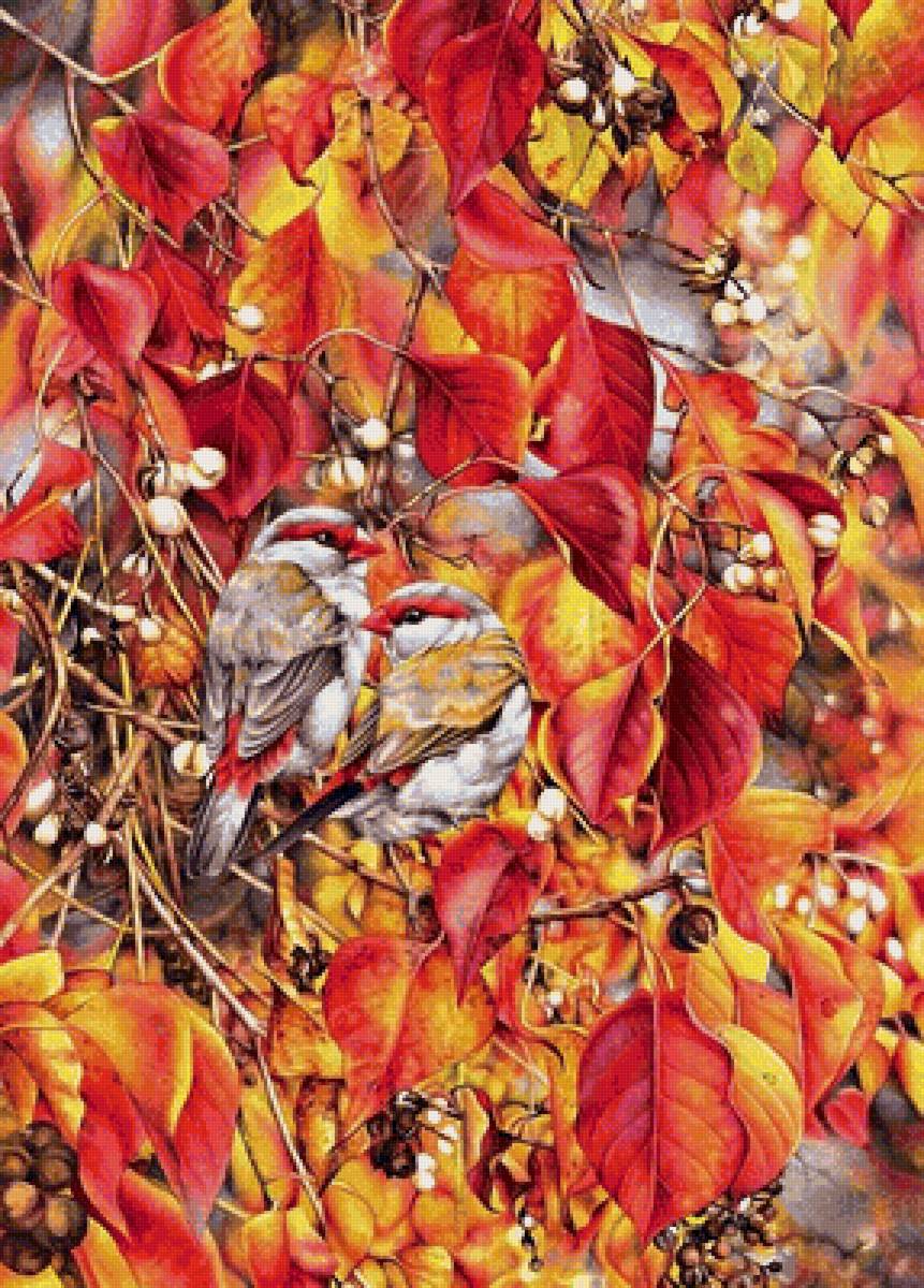 птицы - предпросмотр