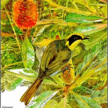 Схема вышивки «Птицы»