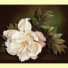 Схема вышивки «PEONIA»