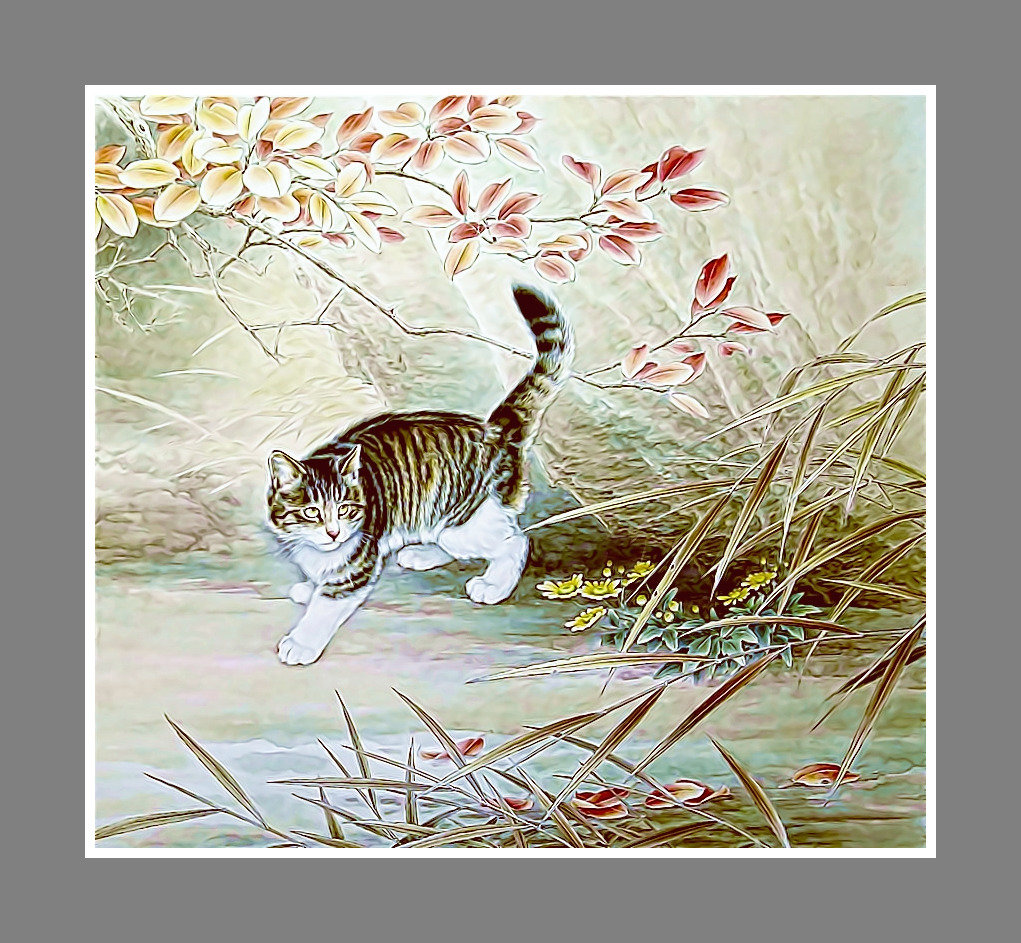 №2078337 - животные, кот - оригинал