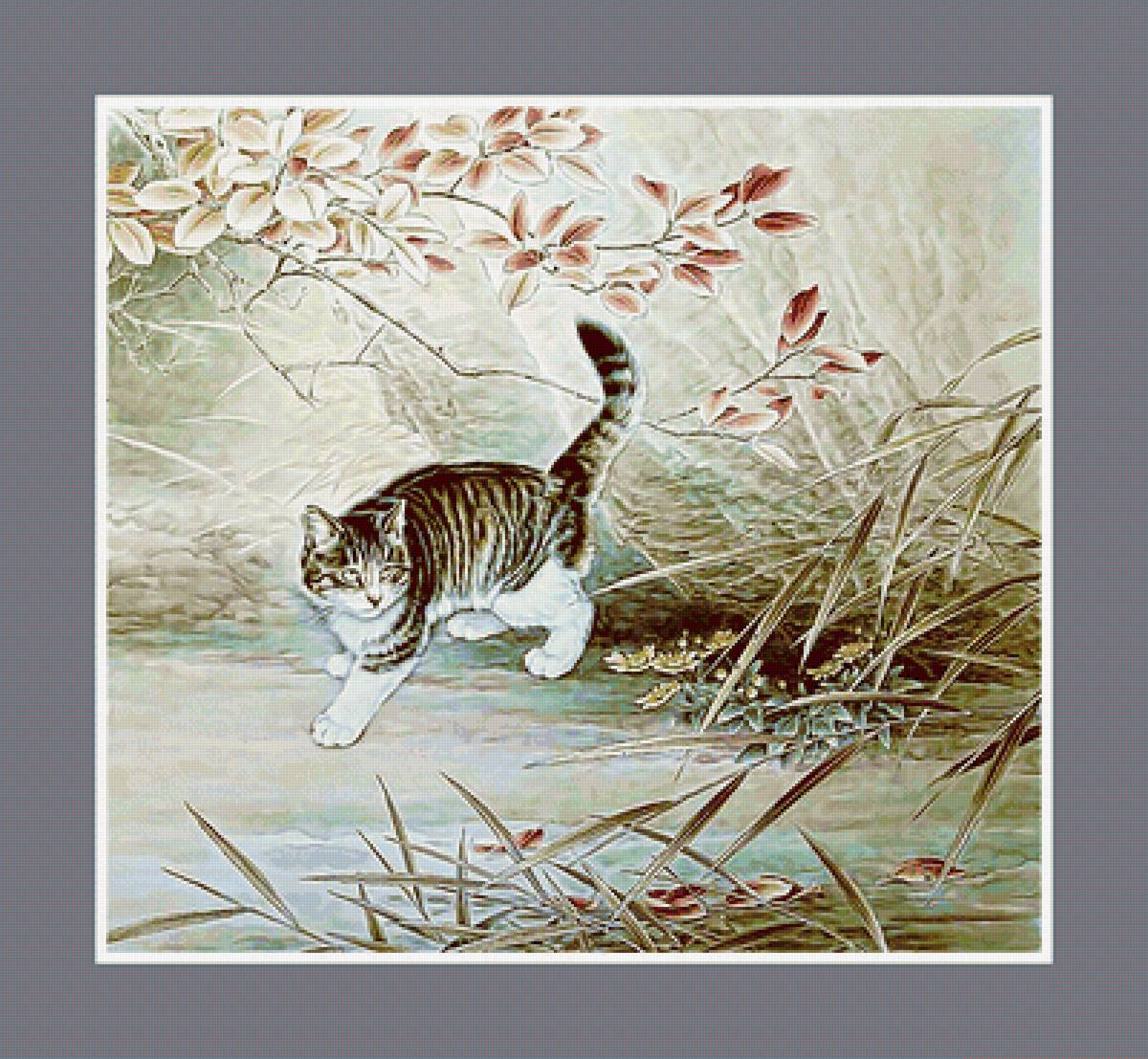 №2078337 - кот, животные - предпросмотр