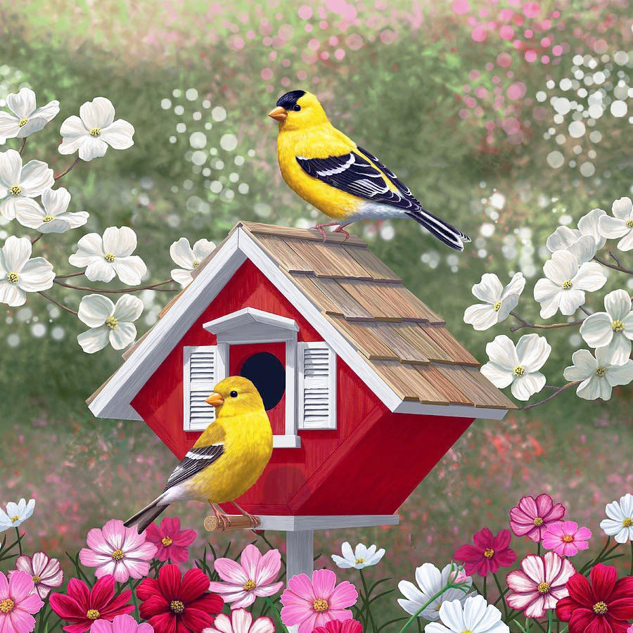 Пташки у красной кормушки - весна, птицы, кормушка, цветы - оригинал