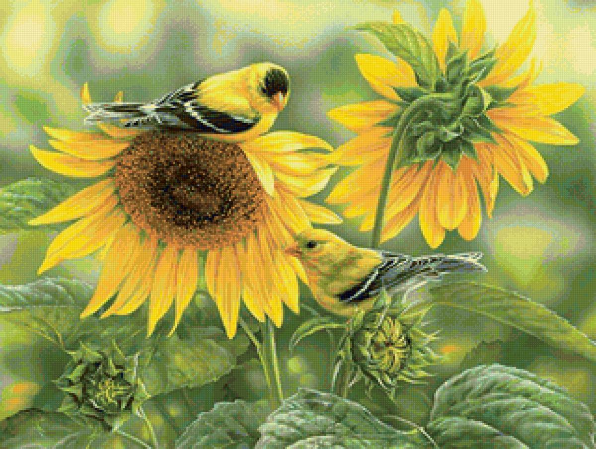 Подсолнухи - подсолнухи, птицы, цветы - предпросмотр