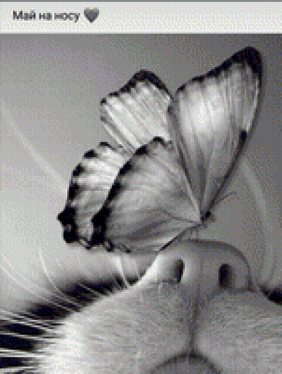 Май на носу - май, бабочка, кот - предпросмотр